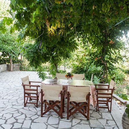Villa Ilias Pinakokhorion Zewnętrze zdjęcie