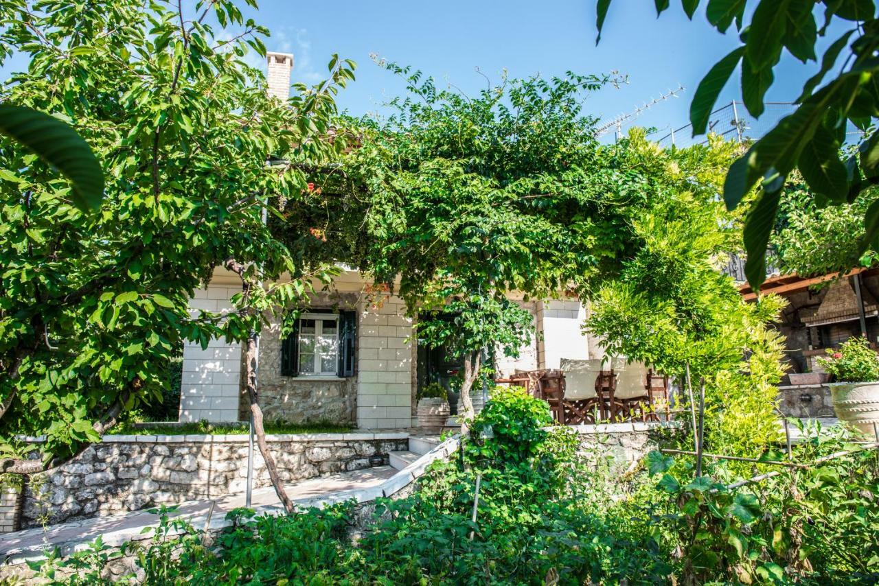 Villa Ilias Pinakokhorion Zewnętrze zdjęcie