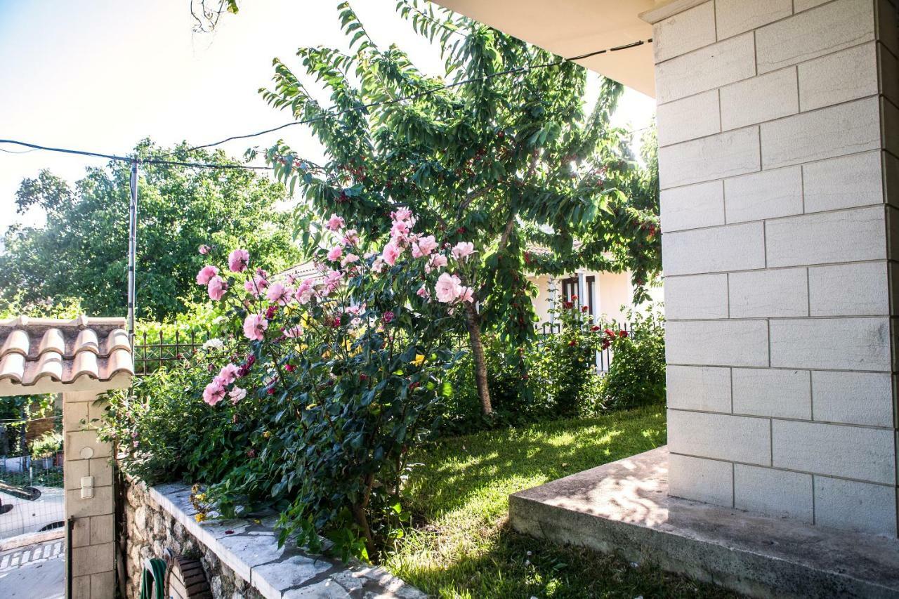 Villa Ilias Pinakokhorion Zewnętrze zdjęcie