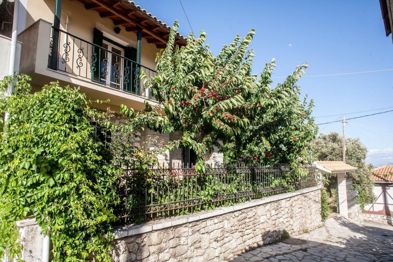 Villa Ilias Pinakokhorion Zewnętrze zdjęcie